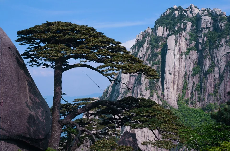 mount-song