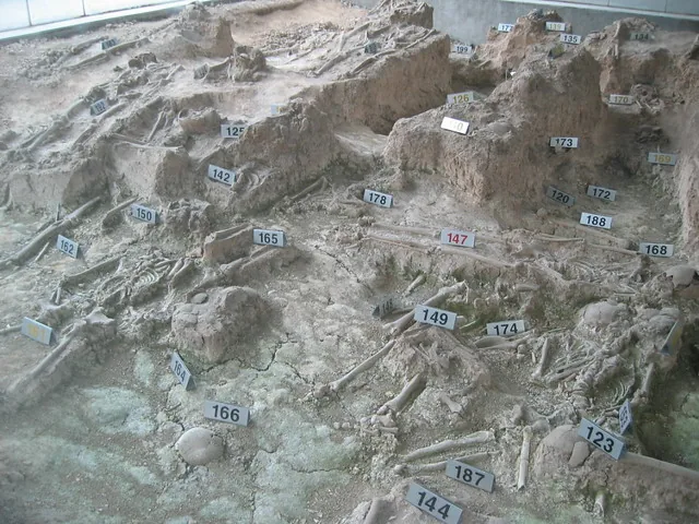 things to do in nanjing